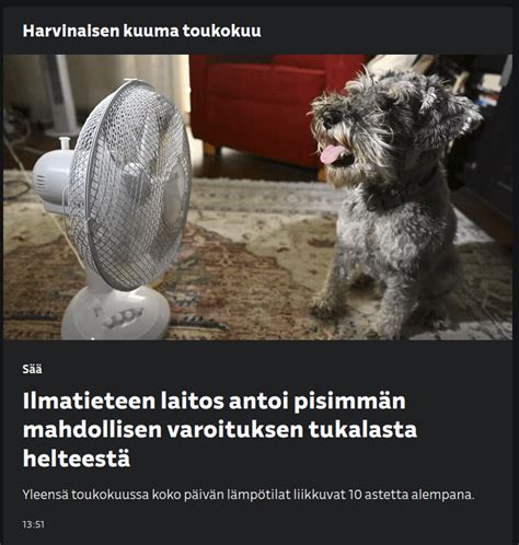 poskiontelo polyyppi|Se on ihan normaalia